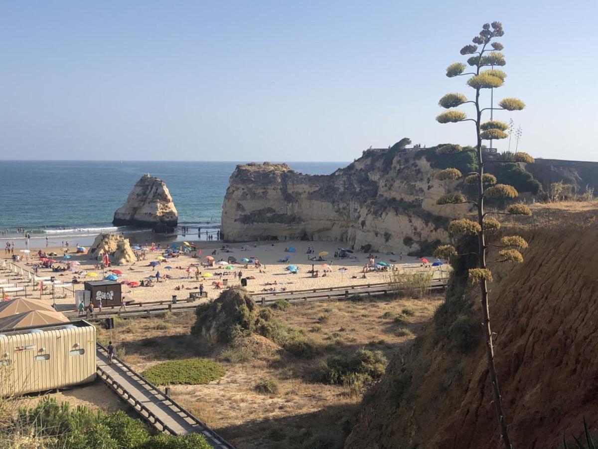 Algarve Ocean Garden Apartment Portimão Dış mekan fotoğraf